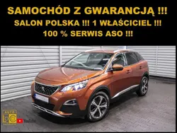 Brązowy (metalik) Używany 2017 Peugeot 3008 SUV | 55 555 zł (Uczciwa cena)