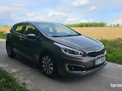 Brązowy Używany 2015 Kia Ceed Hatchback | 37 999 zł (Uczciwa cena)