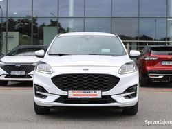 Używany 2020 Ford Kuga SUV | 87 900 zł (Dość drogi)