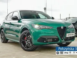 Zielony (metalik) Nowe 2024 Alfa Romeo Stelvio SUV | 259 890 zł