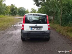 Używany 2007 Fiat Panda Hatchback | 2499 zł (Dobra cena)