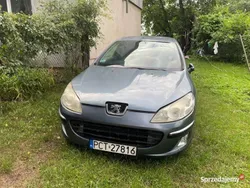 Grafitowy Używany 2005 Peugeot 407 Sedan/Limuzyna | 3000 zł (Super Cena)