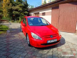 Używany 2002 Peugeot 307 | 6000 zł (Dość drogi)