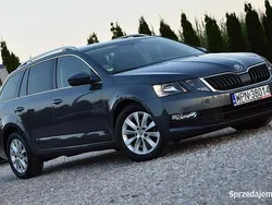 Szary Używany 2020 Skoda Octavia Kombi | 45 900 zł (Dobra cena)