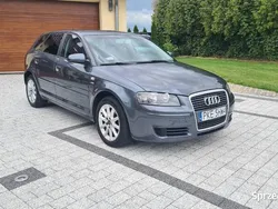 Szary Używany 2006 Audi A3 Hatchback | 17 900 zł (Uczciwa cena)