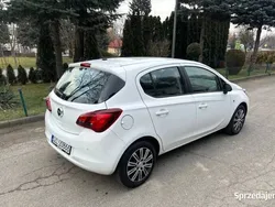 Używany 2017 Opel Corsa | 34 900 zł (Dość drogi)