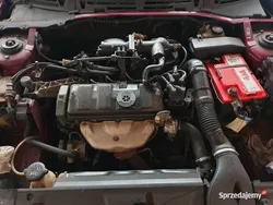 Używany 1998 Citroën Xsara | 2090 zł