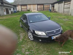 Używany 2005 VW Phaeton R | 18 900 zł