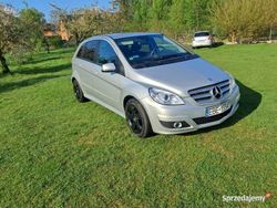 Używany 2009 Mercedes B180 Minivan | 12 500 zł (Uczciwa cena)