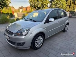 Używany 2007 Ford Fiesta Hatchback | 7900 zł (Dość drogi)