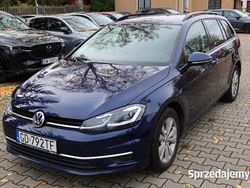 Używany 2019 VW Golf VII | 25 462 zł (Super Cena)