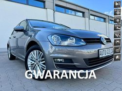 Szary (metalik) Używany 2015 VW Golf VII Hatchback | 39 999 zł (Uczciwa cena)