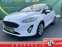 Biały Używany 2019 Ford Fiesta Hatchback | 37 900 zł (Uczciwa cena)