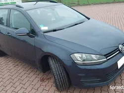Używany 2016 VW Golf VII | 25 900 zł (Dobra cena)