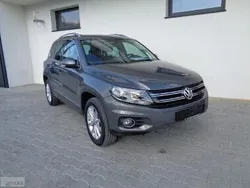 Używany 2015 VW Tiguan SUV | 49 900 zł (Super Cena)