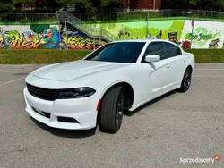 Używany 2019 Dodge Charger SXT Sedan/Limuzyna | 110 000 zł (Drogi)
