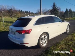 Używany 2017 Audi A4 | 77 777 zł (Drogi)