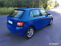 Niebieski Używany 2019 Skoda Fabia Hatchback | 26 000 zł (Uczciwa cena)