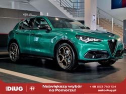 Lakier specjalny zielony montreal green Nowe 2025 Alfa Romeo Stelvio SUV | 263 645 zł
