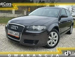 Brązowy (metalik) Używany 2007 Audi A3 Hatchback | 18 900 zł (Uczciwa cena)