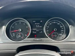 Biały Używany 2018 VW Golf VII Hatchback | 44 900 zł (Dobra cena)