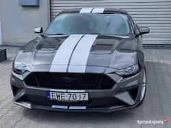 Szary Używany 2017 Ford Mustang GT Coupe | 140 000 zł (Super Cena)