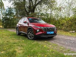 Czerwony Używany 2023 Hyundai Tucson SUV | 117 999 zł (Drogi)