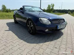 Granatowy Używany 2001 Mercedes SLK320 Kabriolet | 20 900 zł