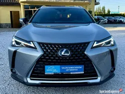 Szary (metalik, perła) Używany 2021 Lexus UX SUV | 94 900 zł (Uczciwa cena)