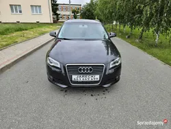Szary (metalik) Używany 2009 Audi A3 Hatchback | 21 999 zł (Uczciwa cena)