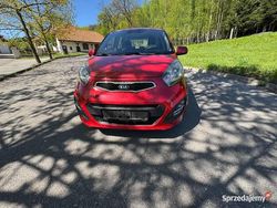 Używany 2015 Kia Picanto Hatchback | 18 800 zł (Dobra cena)
