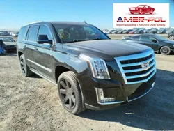 Czarny Używany 2016 Cadillac Escalade SUV | 162 000 zł