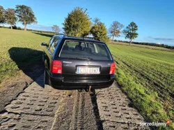 Używany 1998 VW Passat | 5000 zł (Uczciwa cena)