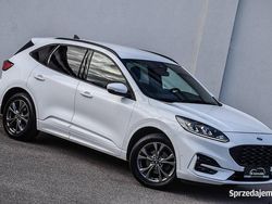 Biały Używany 2020 Ford Kuga ST-Line X SUV | 89 899 zł (Dość drogi)