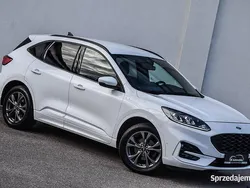 Biały Używany 2020 Ford Kuga ST-Line X SUV | 86 899 zł (Dość drogi)