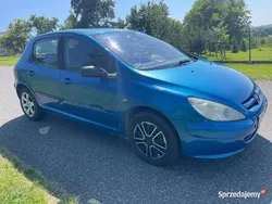 Niebieski Używany 2003 Peugeot 307 Hatchback | 2300 zł (Uczciwa cena)