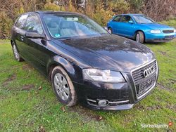 Używany 2011 Audi A3 | 10 050 zł