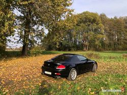 Używany 2006 BMW 650 Sport Line Coupe | 57 999 zł