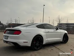 Używany 2015 Ford Mustang Performance Edition | 72 000 zł