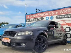Używany 2004 Audi A3 | 6490 zł (Dość drogi)