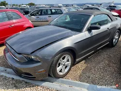 Szary Używany 2014 Ford Mustang Kabriolet | 60 500 zł