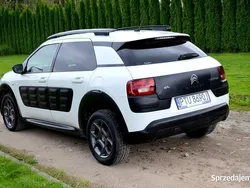 Biały Używany 2016 Citroën C4 Cactus Hatchback | 32 999 zł (Uczciwa cena)