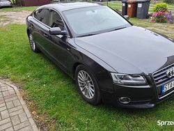 Używany 2010 Audi A5 Sportback Hatchback | 31 000 zł