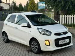 Biały (metalik) Używany 2016 Kia Picanto 2 Hatchback | 29 900 zł (Uczciwa cena)