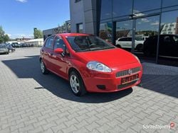 Czerwony Używany 2009 Fiat Punto Hatchback | 15 900 zł