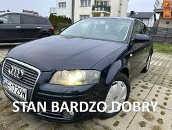 Niebieski Używany 2008 Audi A3 Hatchback | 14 500 zł (Dobra cena)