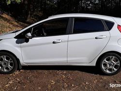 Biały Używany 2014 Ford Fiesta Hatchback | 24 000 zł (Uczciwa cena)