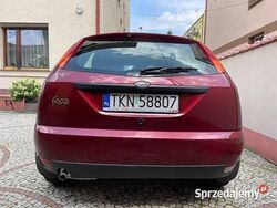 Bordowy Używany 1999 Ford Focus Ambiente Hatchback | 5000 zł (Uczciwa cena)