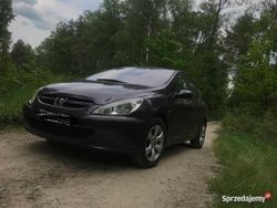 Fioletowy Używany 2001 Peugeot 307 Hatchback | 6500 zł (Drogi)