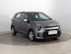 Szary Nowe 2024 Kia Picanto Hatchback | 65 999 zł (Drogi)